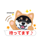 seinatouchの柴犬・黒柴・白柴（個別スタンプ：26）