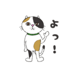 猫になりたい女の子 みけ猫ミケルと一緒（個別スタンプ：6）