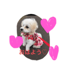 マルプ♡（個別スタンプ：1）
