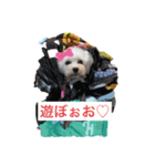 マルプ♡（個別スタンプ：2）