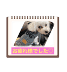マルプ♡（個別スタンプ：4）