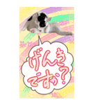 Big スタンプ 可愛い M Cats（個別スタンプ：12）