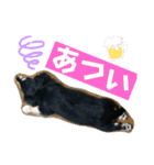 我が家のアイドル犬 もさく（個別スタンプ：18）