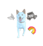 白柴犬諭吉2022（個別スタンプ：4）