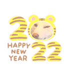 白柴犬諭吉2022（個別スタンプ：14）