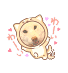白柴犬諭吉2022（個別スタンプ：25）