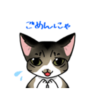 うち猫のすーちゃん（個別スタンプ：6）