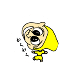 あかしみ流行スタンプ（個別スタンプ：5）