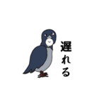 あかしみ流行スタンプ（個別スタンプ：22）