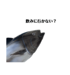 マグロで会話（個別スタンプ：10）
