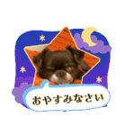 元気が1番⭐︎毎日チワワのcocoくん（個別スタンプ：4）