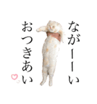 いっちゃん＆ふくちゃん②（個別スタンプ：38）