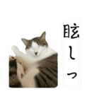 ぎーの日常  第2弾（個別スタンプ：28）