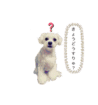 なんてたいとるにしようかな（個別スタンプ：7）