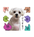 なんてたいとるにしようかな（個別スタンプ：8）