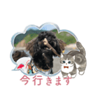 モフココア（個別スタンプ：4）