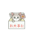 【体調不良の時に使える】仔猫のぽんにゃん（個別スタンプ：9）