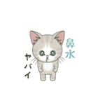 【体調不良の時に使える】仔猫のぽんにゃん（個別スタンプ：11）