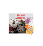 気持ちを伝えてるワンコ。（個別スタンプ：6）