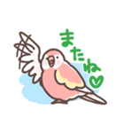 アキクサインコLINEスタンプ2（個別スタンプ：2）