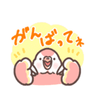 アキクサインコLINEスタンプ2（個別スタンプ：3）