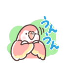 アキクサインコLINEスタンプ2（個別スタンプ：4）