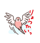 アキクサインコLINEスタンプ2（個別スタンプ：8）