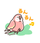 アキクサインコLINEスタンプ2（個別スタンプ：12）