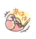 アキクサインコLINEスタンプ2（個別スタンプ：13）