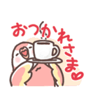 アキクサインコLINEスタンプ2（個別スタンプ：16）