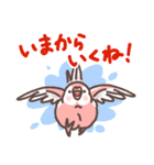 アキクサインコLINEスタンプ2（個別スタンプ：20）