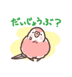 アキクサインコLINEスタンプ2（個別スタンプ：29）