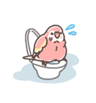 アキクサインコLINEスタンプ2（個別スタンプ：40）