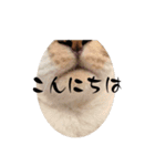 むくおスタンプPart2（個別スタンプ：2）