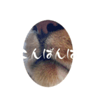 むくおスタンプPart2（個別スタンプ：3）