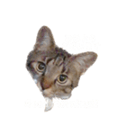 むくおスタンプPart2（個別スタンプ：6）