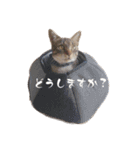 むくおスタンプPart2（個別スタンプ：9）