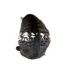 むくおスタンプPart2（個別スタンプ：21）