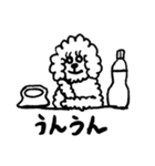 みんな飼ってる！トイプードル！（個別スタンプ：19）