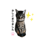 毛むくじゃら達3♥（個別スタンプ：2）