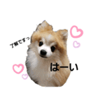 毛むくじゃら達3♥（個別スタンプ：3）
