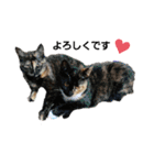 毛むくじゃら達3♥（個別スタンプ：4）