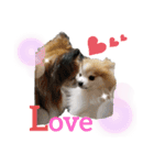 毛むくじゃら達3♥（個別スタンプ：6）