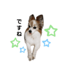 毛むくじゃら達3♥（個別スタンプ：7）
