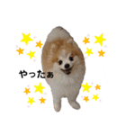 毛むくじゃら達3♥（個別スタンプ：20）