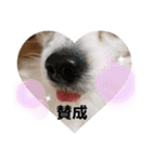 毛むくじゃら達3♥（個別スタンプ：22）