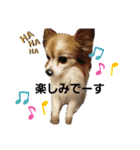 毛むくじゃら達3♥（個別スタンプ：28）