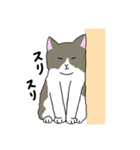 大きい猫 ももたろう（個別スタンプ：10）