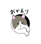 大きい猫 ももたろう（個別スタンプ：22）