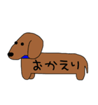 犬の日スタンプ（個別スタンプ：34）